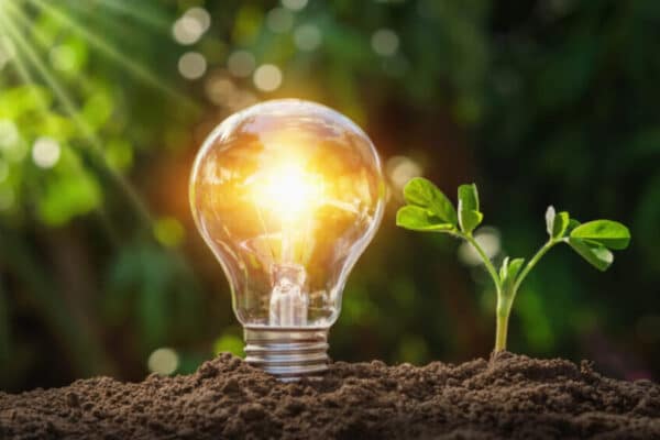 Licht innere Uhr Titelbild