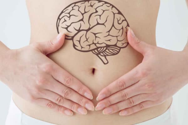 Warum dein Magen Bitterkeit liebt Beitragsbild